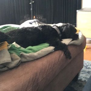 Meet your Posher, Allison